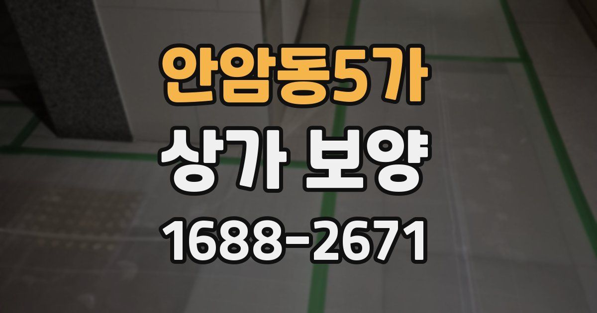 안암동5가 상가 보양