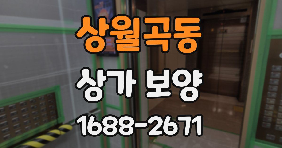 상월곡동 상가 보양