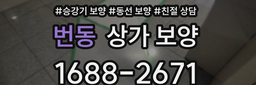 번동 상가 보양