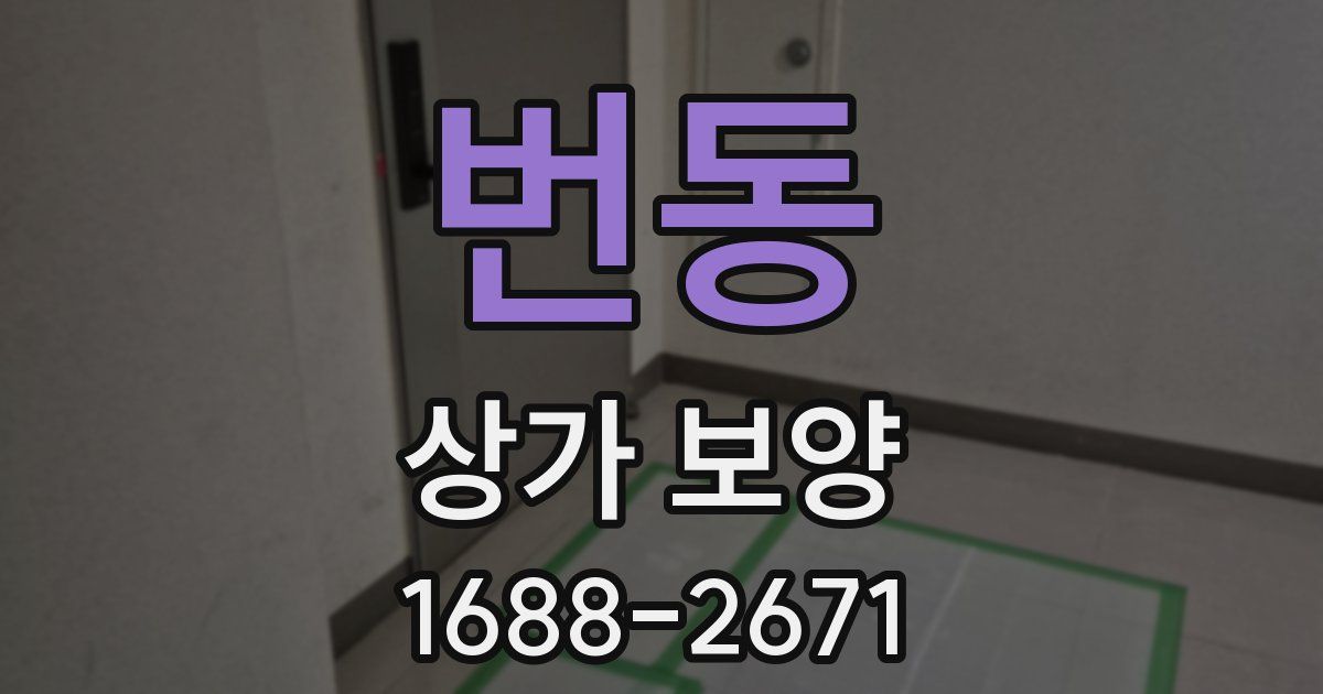 번동 상가 보양