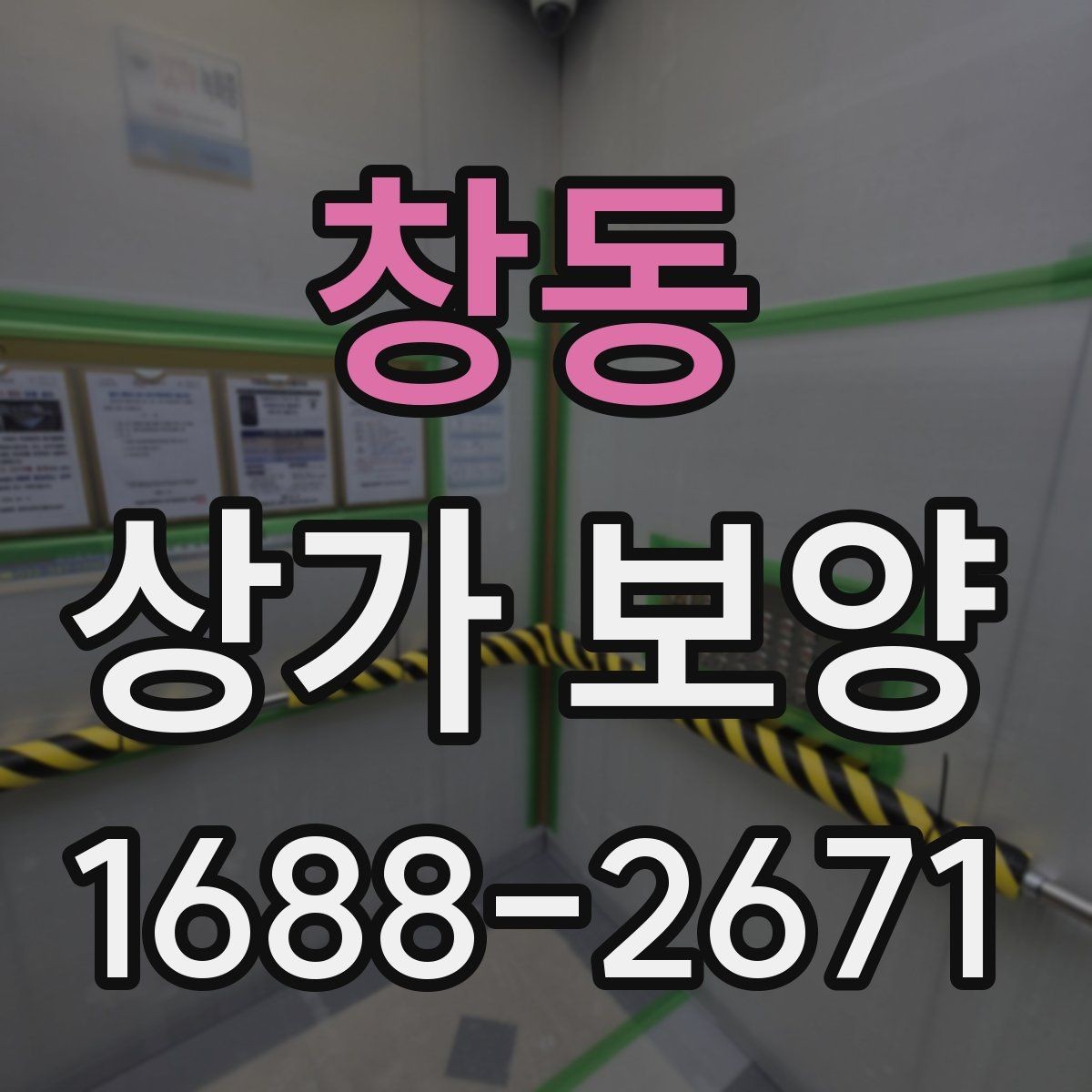 창동 상가 보양 전 준비물과 현장 세팅