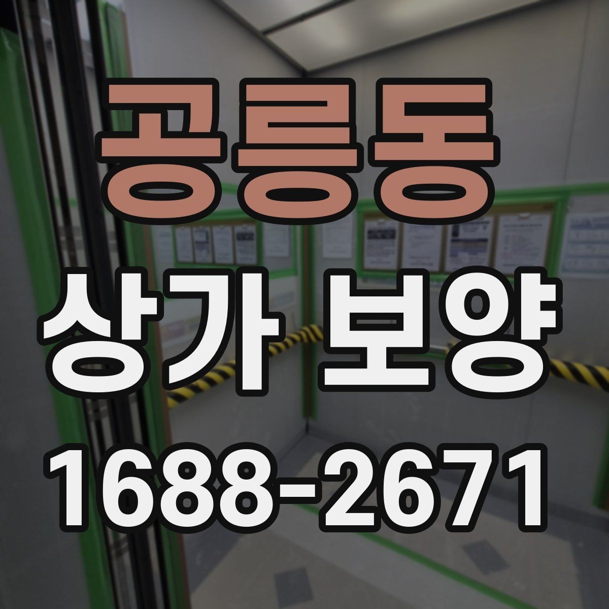 공릉동 상가 보양 시 현장별 맞춤 적용 사례