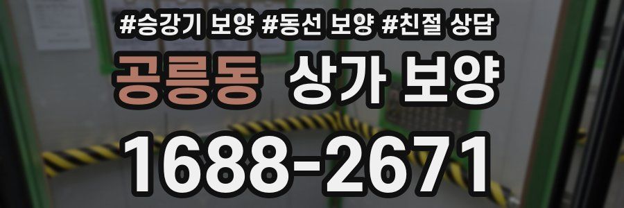 공릉동 상가 보양
