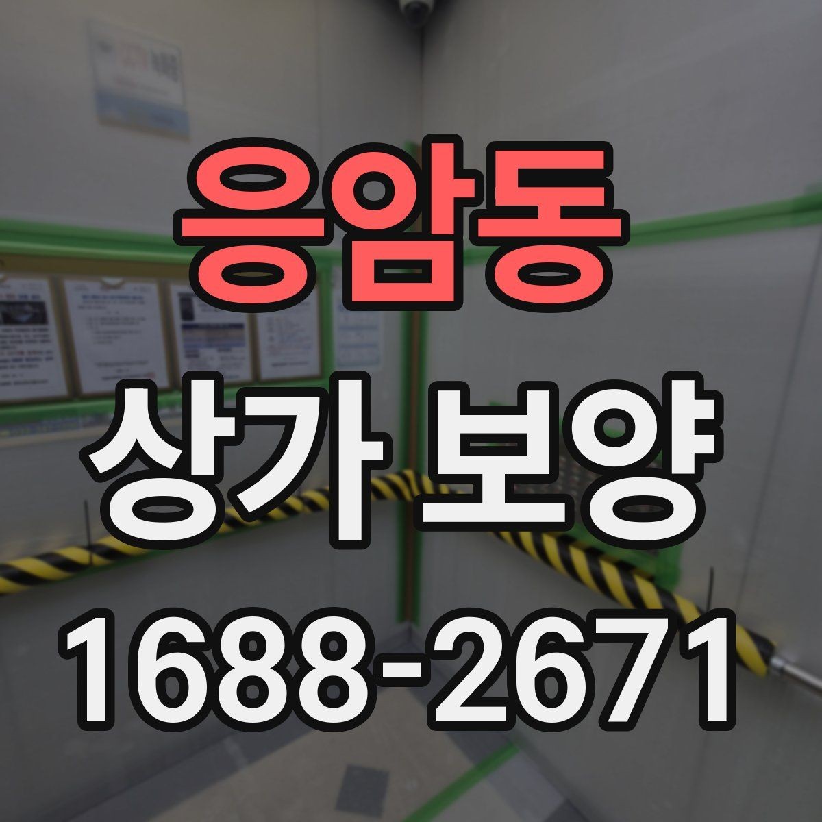 응암동 상가 보양 자재 선정부터 마무리까지의 과정