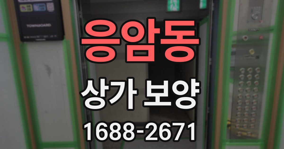 응암동 상가 보양