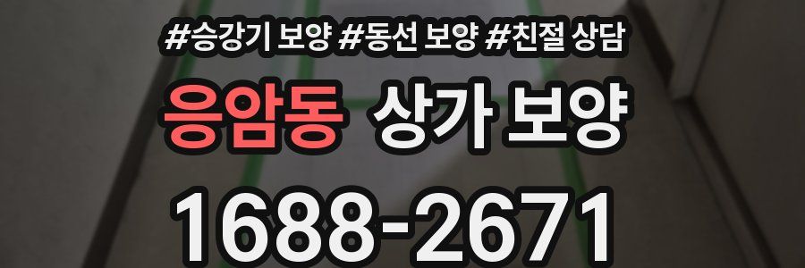 응암동 상가 보양