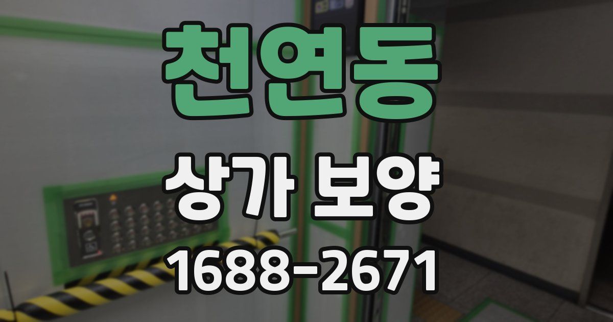 천연동 상가 보양