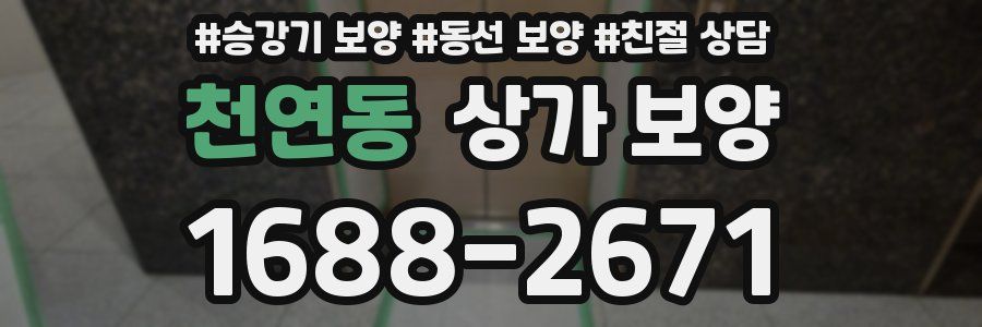 천연동 상가 보양