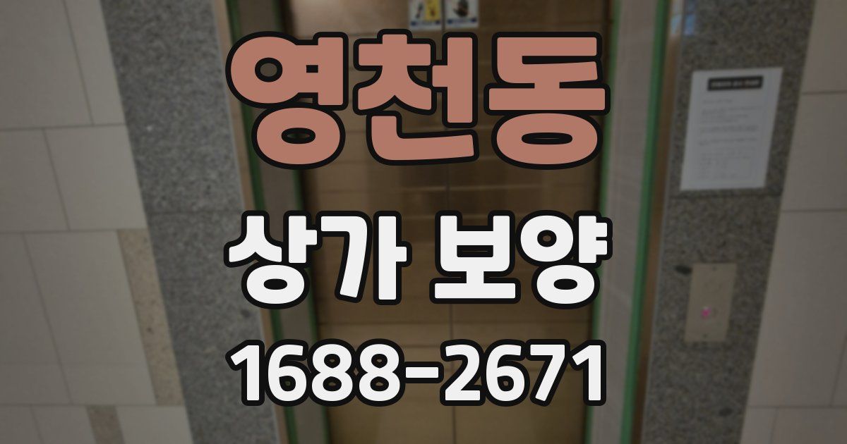 영천동 상가 보양