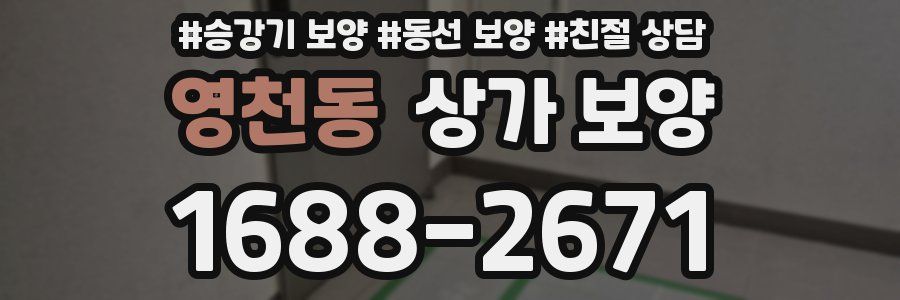 영천동 상가 보양