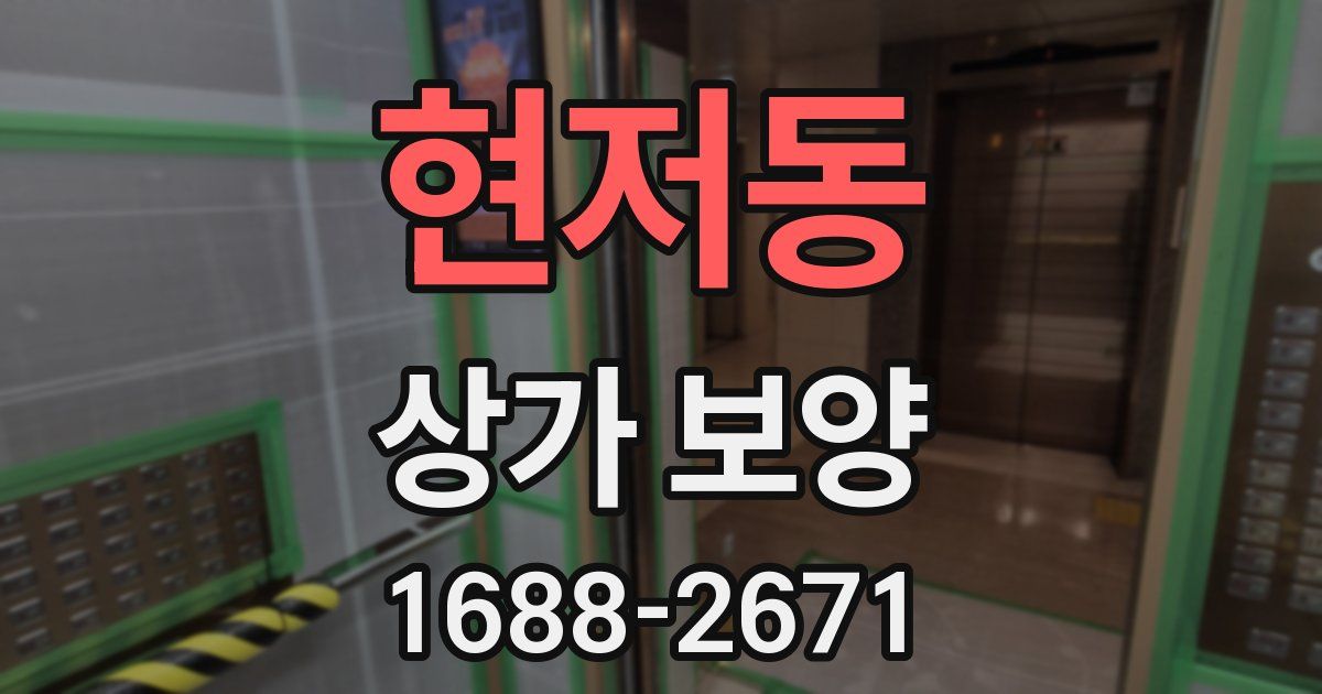 현저동 상가 보양