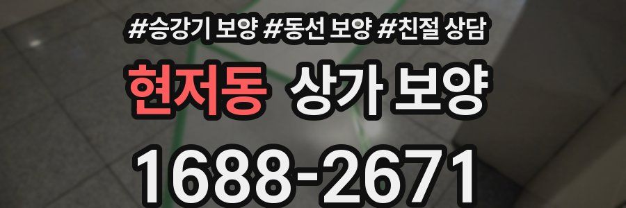 현저동 상가 보양