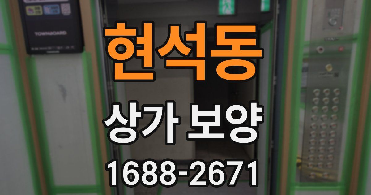현석동 상가 보양