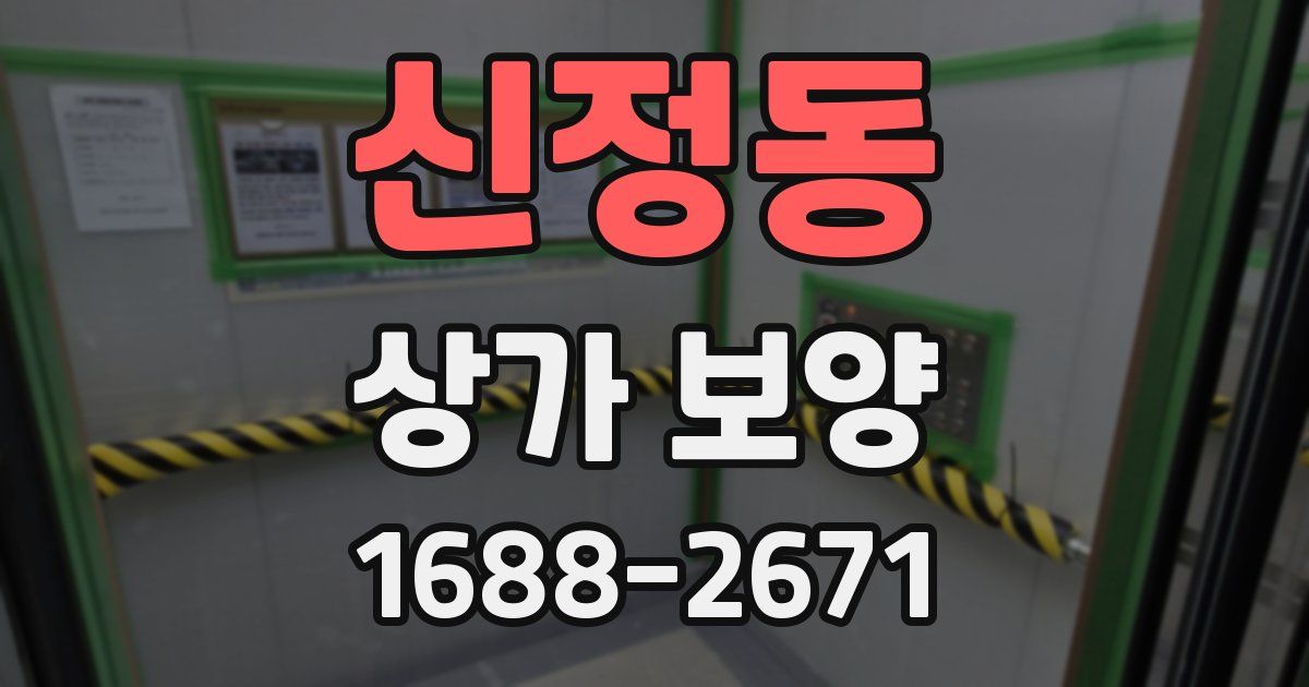 신정동 상가 보양