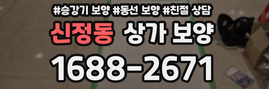 신정동 상가 보양