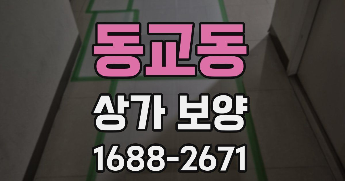 동교동 상가 보양