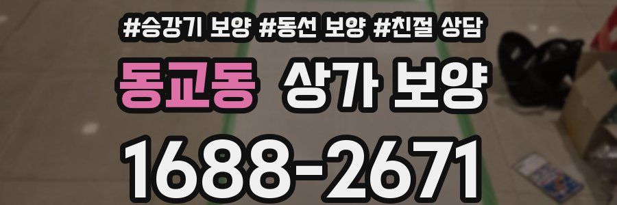 동교동 상가 보양