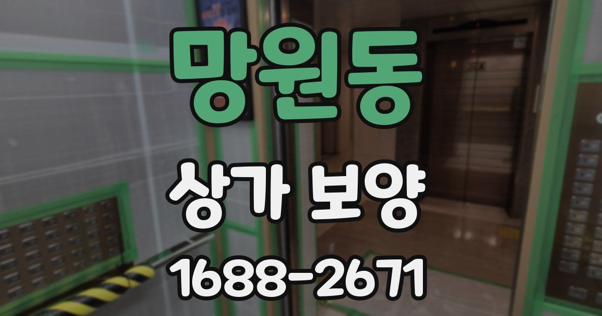 망원동 상가 보양