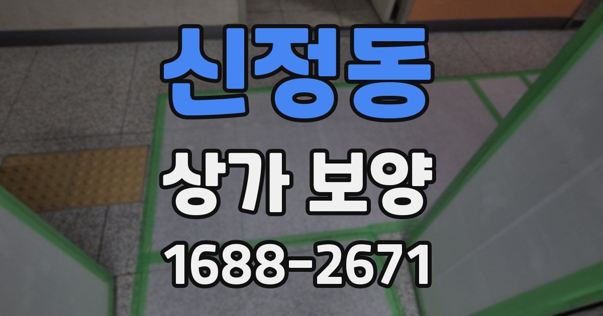 신정동 상가 보양