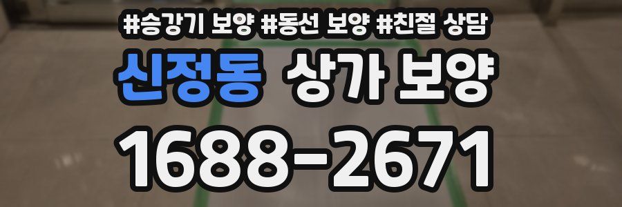 신정동 상가 보양