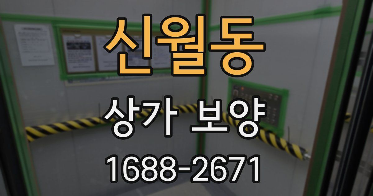 신월동 상가 보양