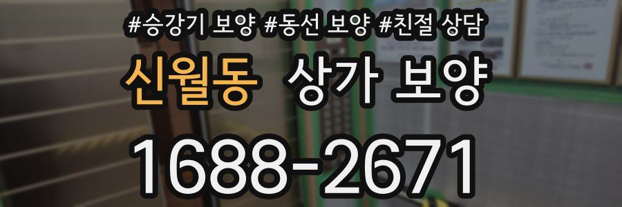 신월동 상가 보양