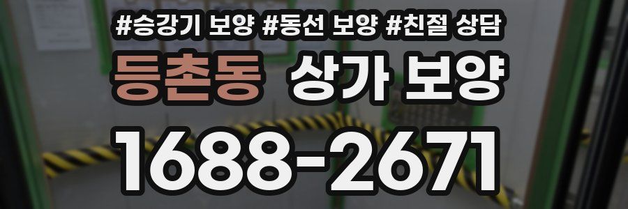 등촌동 상가 보양
