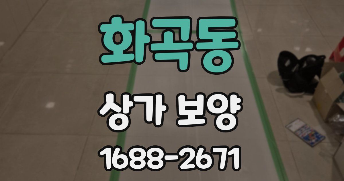 화곡동 상가 보양