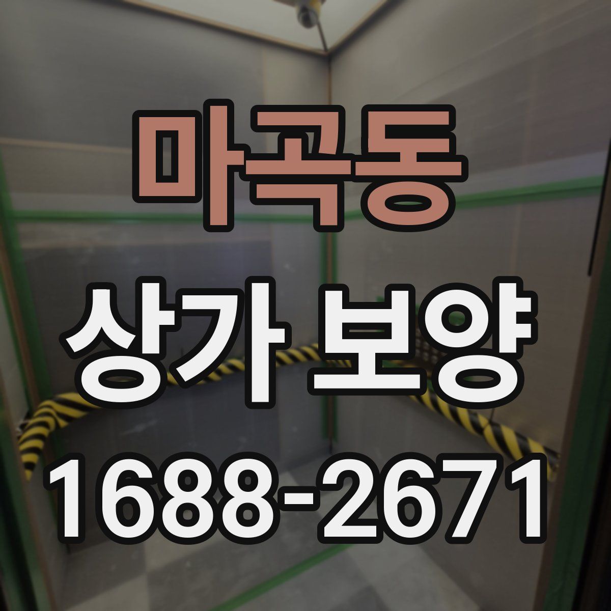 마곡동 상가 보양