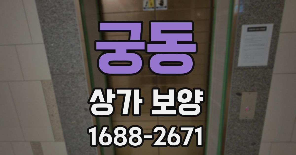 궁동 상가 보양