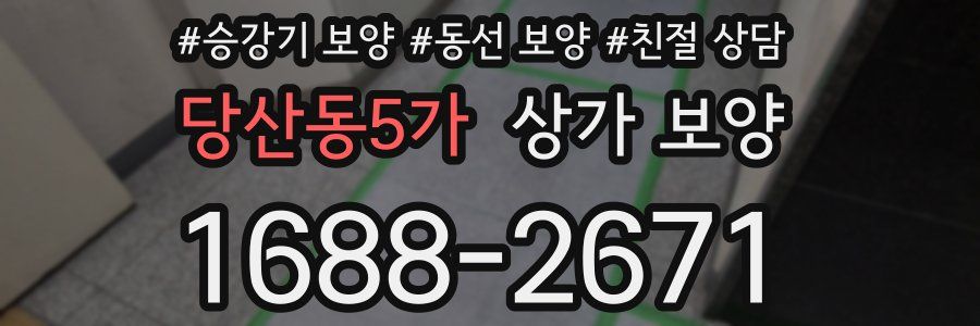 당산동5가 상가 보양