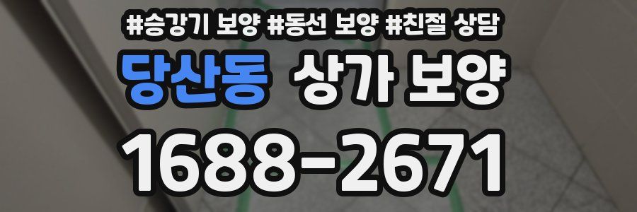 당산동 상가 보양