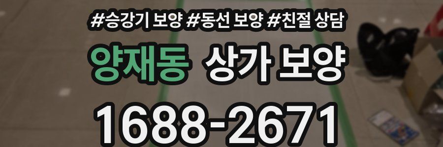 양재동 상가 보양