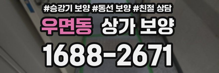우면동 상가 보양