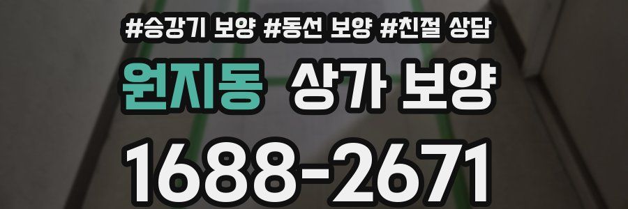 원지동 상가 보양