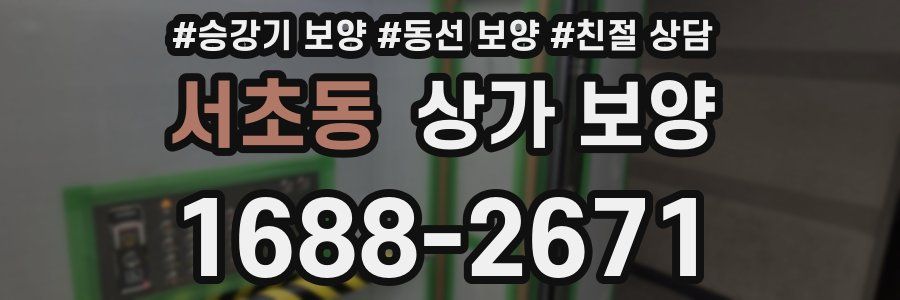 서초동 상가 보양