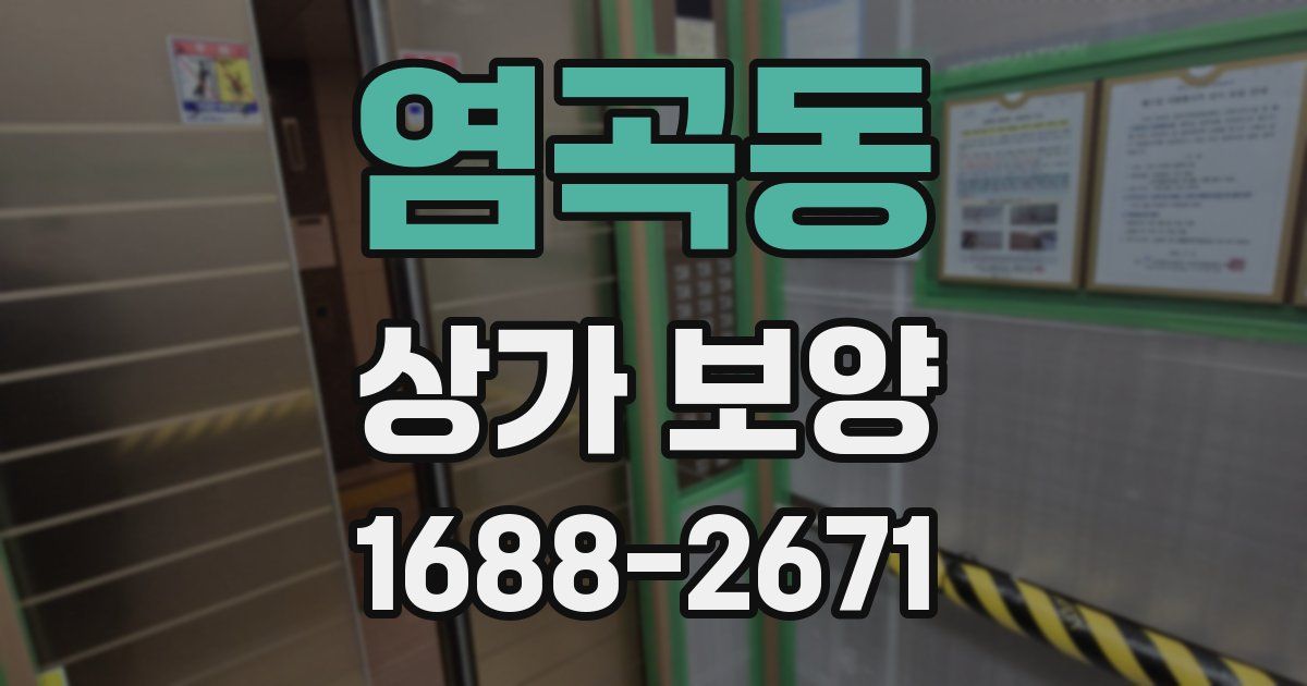 염곡동 상가 보양