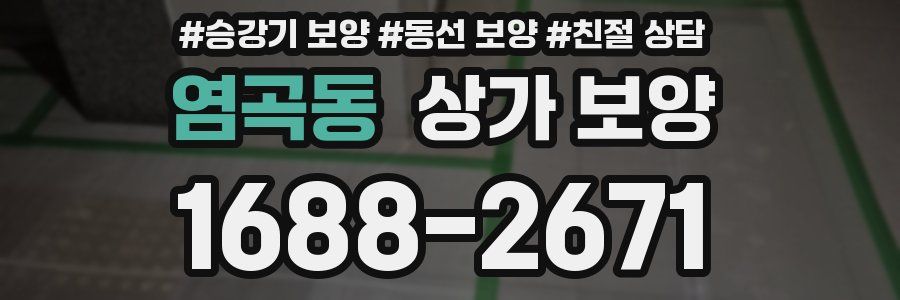 염곡동 상가 보양