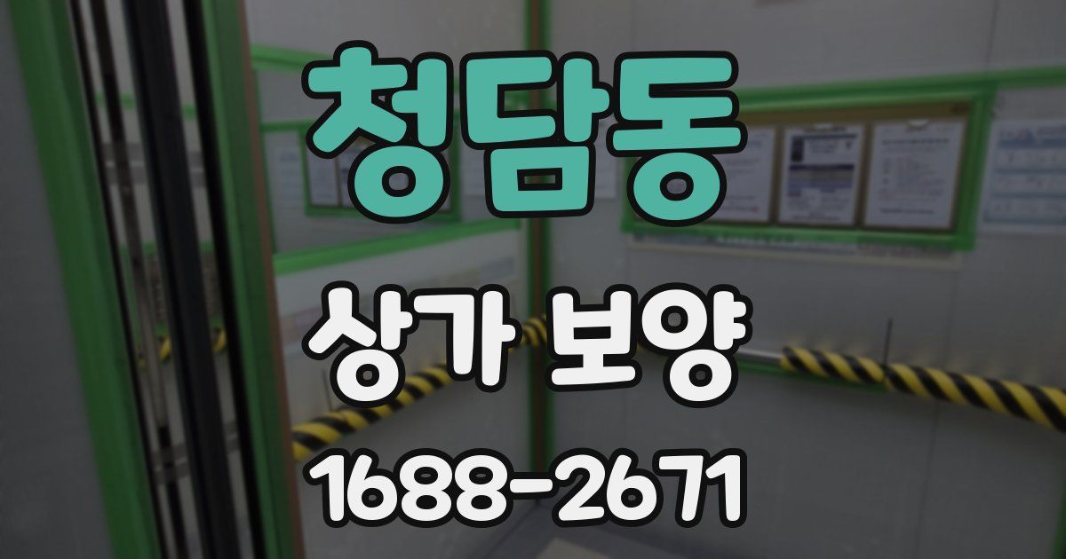 청담동 상가 보양