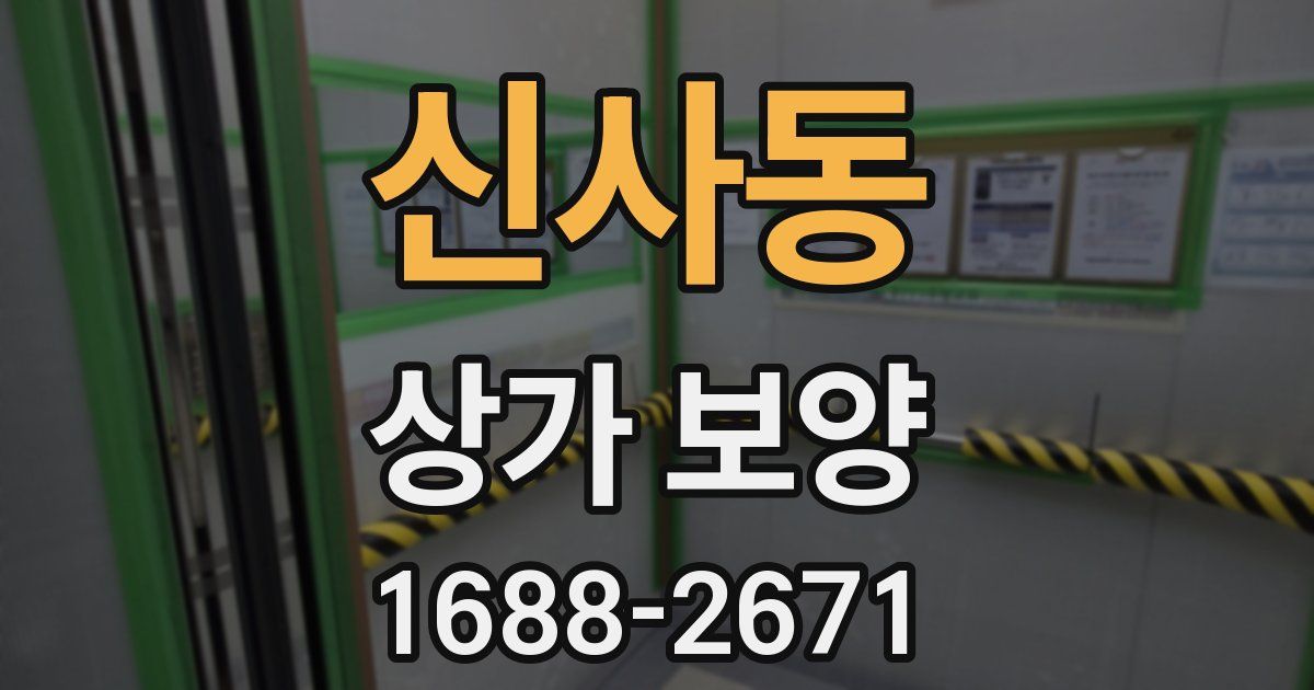 신사동 상가 보양