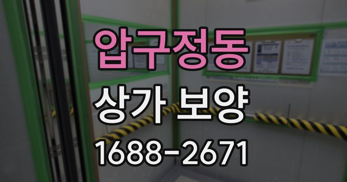 압구정동 상가 보양