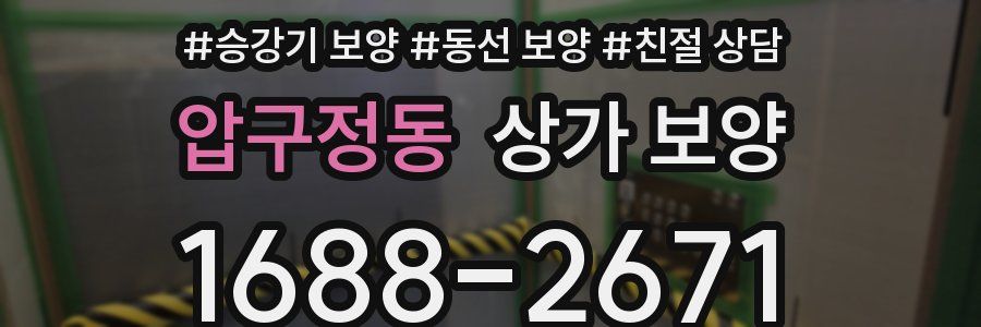 압구정동 상가 보양