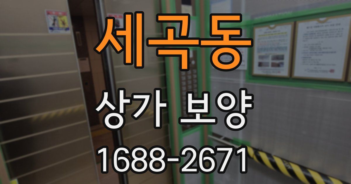 세곡동 상가 보양