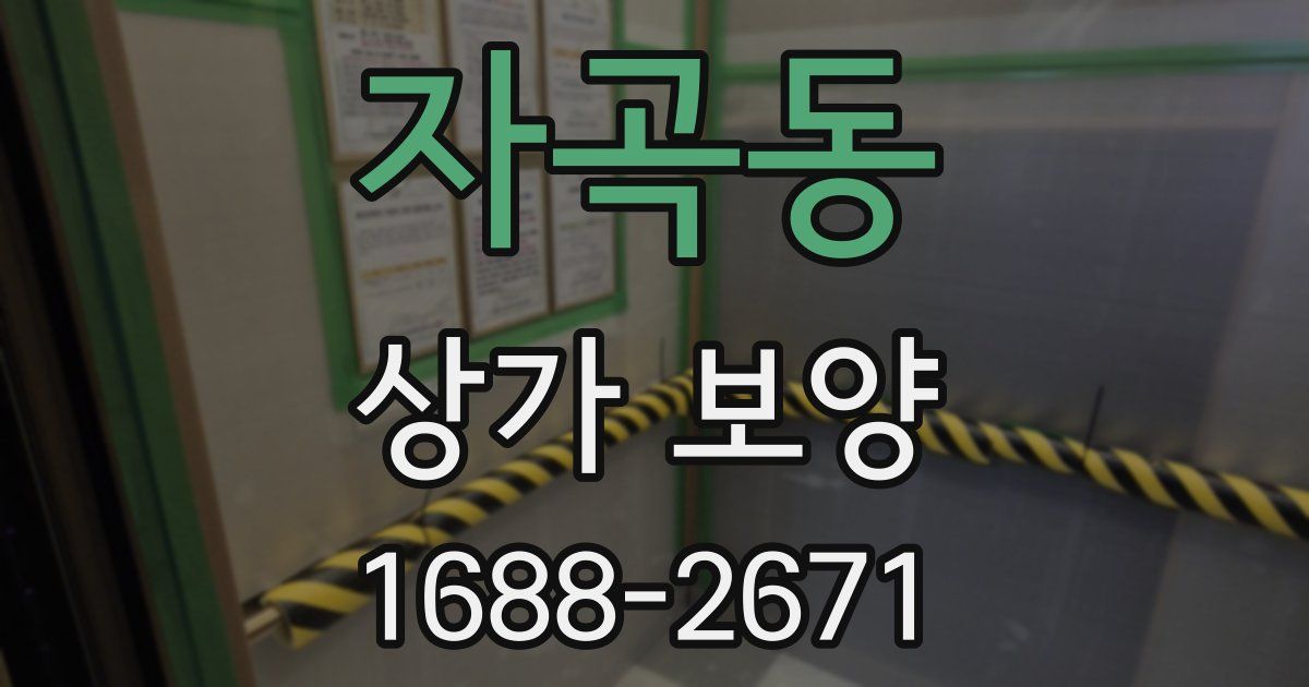 자곡동 상가 보양