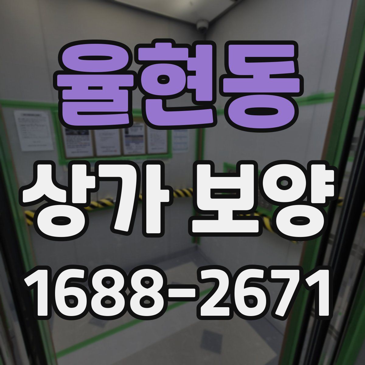 율현동 상가 보양