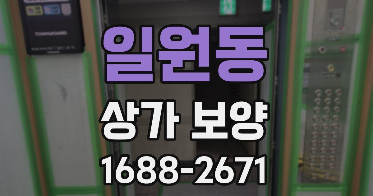 일원동 상가 보양