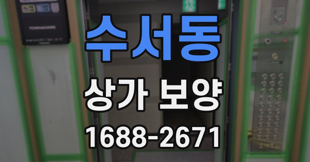 수서동 상가 보양