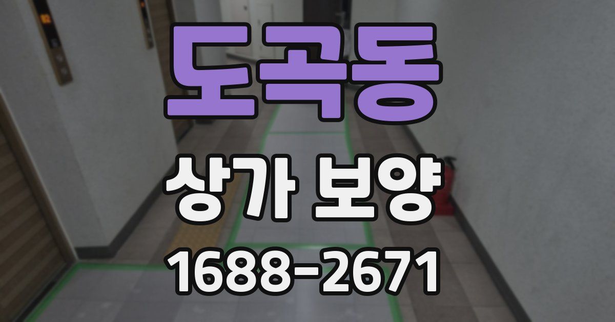 도곡동 상가 보양