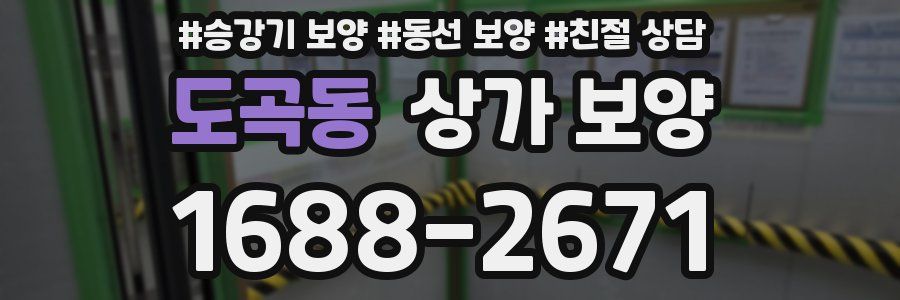 도곡동 상가 보양
