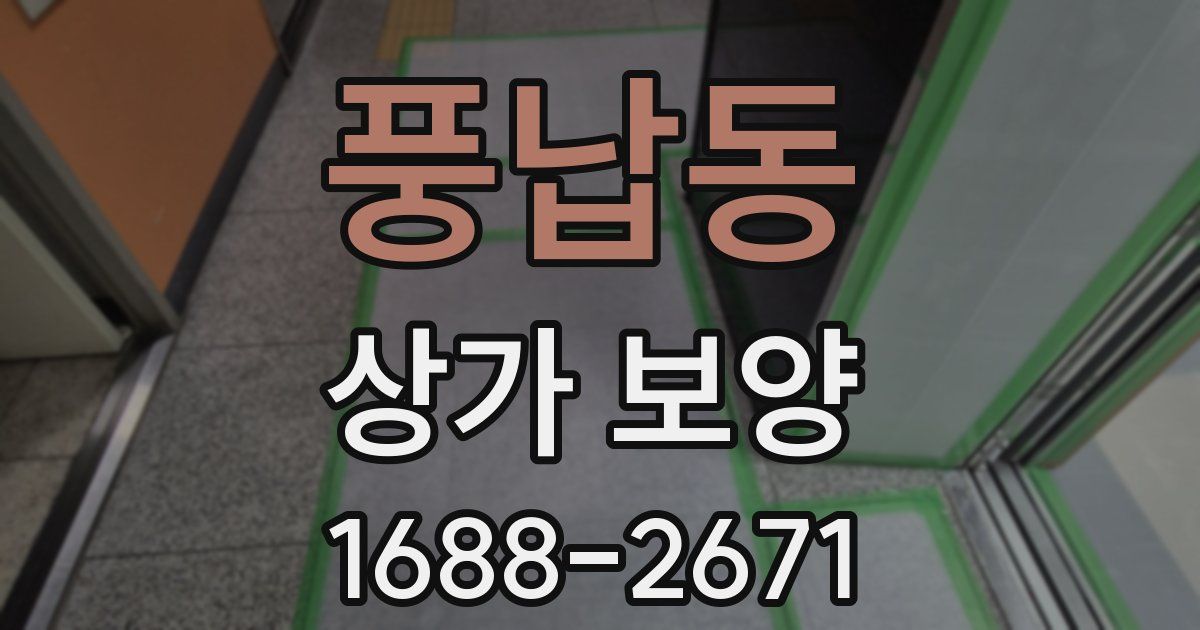 풍납동 상가 보양